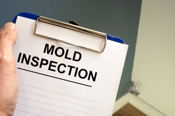 Best Post-Construction Mold Inspection  in Hillburn, NY